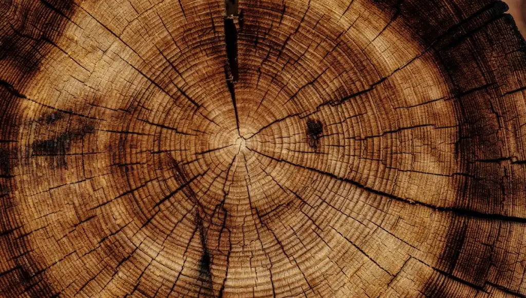jenis kayu jati untuk furniture dan material bangunan rumah minimalist